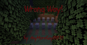 Herunterladen Wrong Way 1.0 zum Minecraft 1.18.2