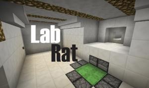 Herunterladen Lab Rat zum Minecraft 1.12
