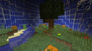 Herunterladen Water Dome Survival zum Minecraft 1.8