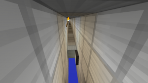 Herunterladen SPRINT: Watch Your Step! zum Minecraft 1.5.2