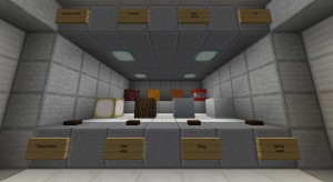 Herunterladen What Fits In? zum Minecraft 1.13.2