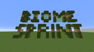 Herunterladen Biome Sprint zum Minecraft 1.15.2