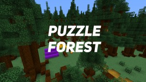 Herunterladen Puzzle Forest zum Minecraft 1.16.5