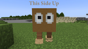 Herunterladen This Side Up 1.0 zum Minecraft 1.18.2