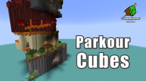 Herunterladen Parkour Cubes 1.0 zum Minecraft 1.20.2