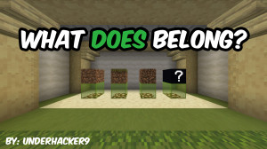 Herunterladen What "DOES" Belong 1.0 zum Minecraft 1.20.2