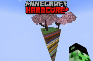 Herunterladen Hardcore: 1 Chunk – 100 Floors – Custom Economy zum Minecraft 1.20