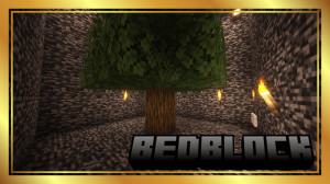 Herunterladen BedBlock zum Minecraft 1.21.5